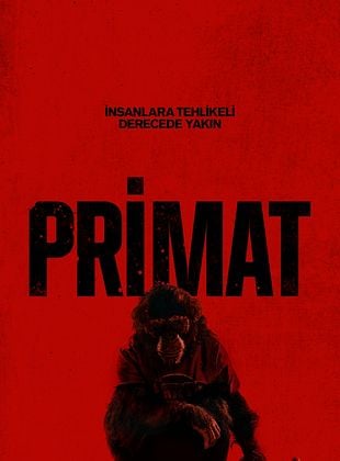 Primat