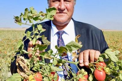 CHP NİĞDE MİLLETVEKİLİ ÖMER FETHİ GÜRER UYARDI: “TARIMDA ÜRETİM DÜŞÜYOR, DIŞA BAĞIMLILIK ARTIYOR; VERİLER GERÇEKLERİ GİZLEMİYOR”