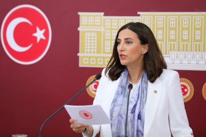 CHP’li Rızvanoğlu’ndan Enerji Bakanına: “Enerji yoksulluğu Ankara’dan görülmüyor mu?”