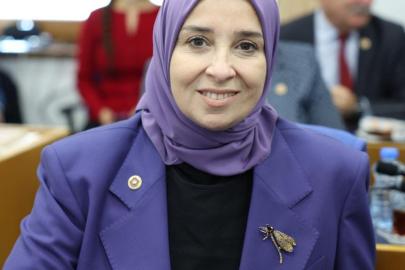 DEVA Partili Esen, Plan Bütçe Komisyonunda konuştu: “Engelli rapor sistemindeki değişiklikle yaklaşık 80 bin ailenin yardımı, nefesi kesildi”