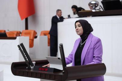 DEVA Partili Esen, Suça Sürüklenen Çocuklar için kurulan araştırma komisyonu önergesinde konuştu: “Kurulacak komisyon çocuklar adına tarihi bir eşik. Veriler alarm veriyor!”