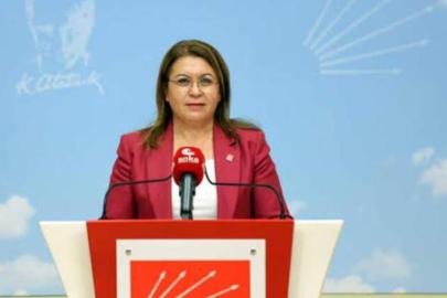CHP DENİZLİ MİLLETVEKİLİ GÜLİZAR BİÇER KARACA AÇIKLAMASI: ENGELLİ HAKLARINA DUYARLI BÜTÇE