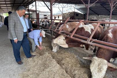 CHP’li Gürer: “Asgari ücret cebe girmeden et fiyatı arttı”