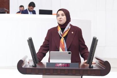 DEVA Partili Elif Esen Enerji ve Sağlık bütçesinde konuştu: “Sabah karanlığa uyanan çocukların güvenliğini ve sağlığını riske atıyorsunuz”