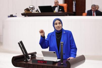 DEVA Partili Elif Esen: “İlgili üç bakanlık şapkayı önlerine koyup MESEM rezaletini çözmeli”