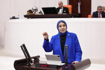 DEVA Partili Elif Esen: “Ulusal Çocuk İzlem Sistemi Bütçenin Ana Gündemi Olmalı”