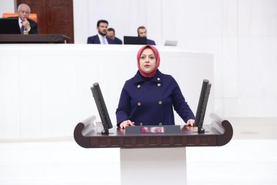 Sayın Başkan, değerli milletvekilleri;