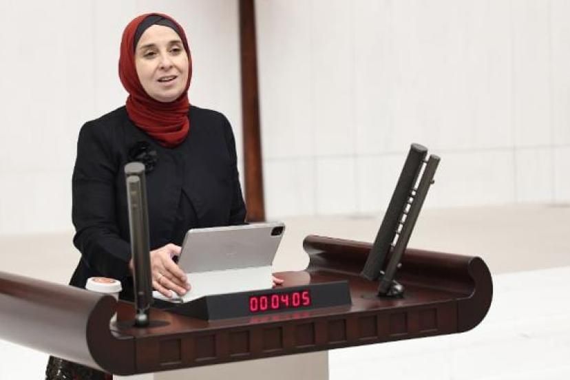 TBMM Engelli Bireylerin Sorunlarını Araştırma Komisyonu Öneri Raporu Güncel Sorun Ve İhtiyaçlar, Uygulama Açıkları – Somut Çözüm Önerileri