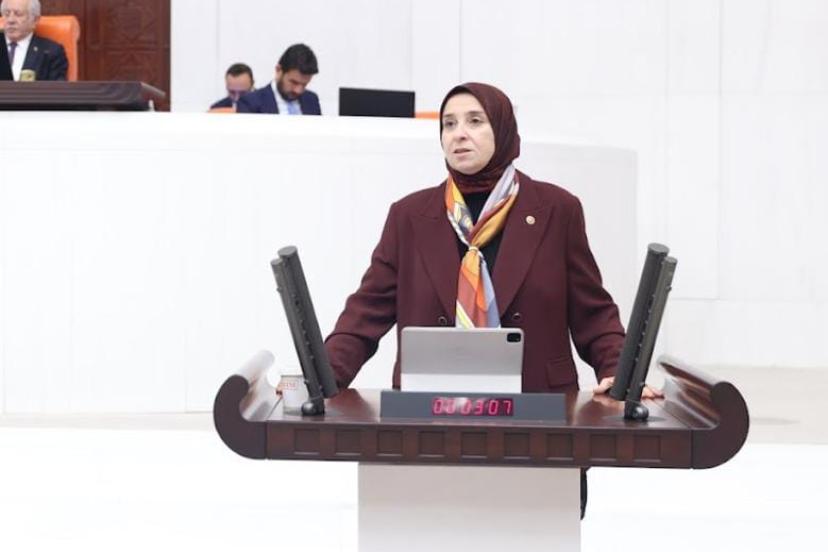 Toplumsal Bağışıklığı ve Çocuk Sağlığını Koruma Kanunu Meclis’te DEVA Partili Elif Esen: “Aşı bütçeye yük değil, gelecek bütçelerin sigortasıdır”