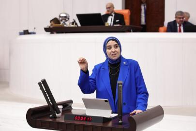 DEVA Partili Elif Esen: “Bebekler, AİDS (HIV) ile karşı karşıya bırakılamaz”