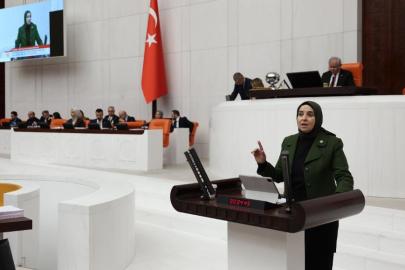 DEVA Partili Elif Esen: “Emekliye gelince bütçe disiplini ve kaynak yetersizliği hatırlanıyor ama Türkiye Varlık Fonu denetim dışı. Neden?”