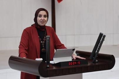 DEVA Partili Elif Esen: “Kahramanmaraş’ta kuvözde şiddet gören bebeğin durumu, yoğun bakım ve yenidoğan ünitelerinde önleyici politika eksikliğini ortaya koyuyor”