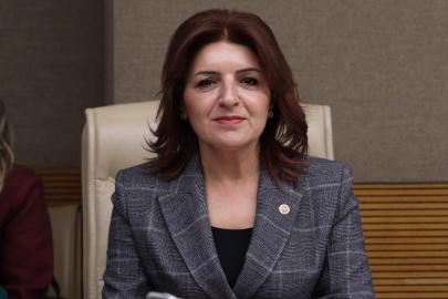GÜLCAN KIŞ: “BU TORBA YASA YEREL YÖNETİMLERİ SARAY İZNİNE BAĞLAMA GİRİŞİMİDİR”