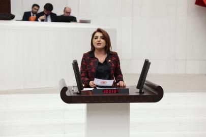 GÜLCAN KIŞ: “TRAFİK CEZALARI GÜVENLİK İÇİN DEĞİL, TAHSİLAT İÇİN ARTIRILIYOR”