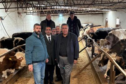 Gürer: “Şap Hastalığı Hayvancılığı Vuruyor!”        Gürer: “Şap ile et, süt, buzağı ve hayvan kayıpları yaşandı”        Üretici Zülfü Ünal: “Verim Düştü, Buzağılar Kaybedildi, Üretici Destek Bekliyor”