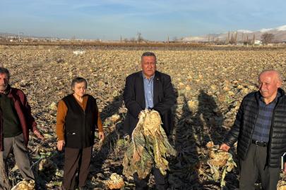 Niğde Bor’da Karnabahar Da Tarlada Kaldı     Gürer: “Don Vurdu, Borç Büyüdü, İsraf Derinleşti”