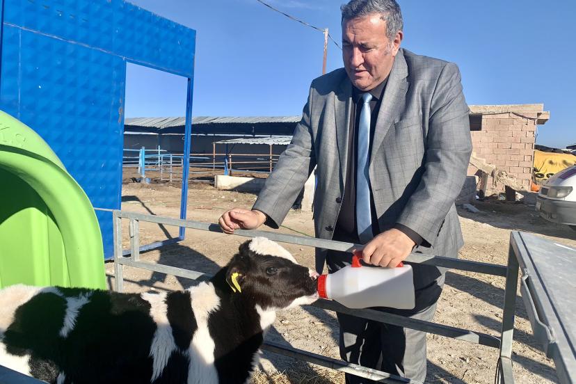 BAKANLIĞIN "YOK" DEDİĞİ SÜT TOZU İTHALATI TÜİK’TE VAR     GÜRER: "SÜT İNEKLERİ KESİLİRKEN SÜT TOZU İTHAL EDİLDİ”