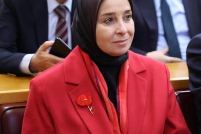 DEVA Partili Esen’den Orman Yangınları hakkında soru önergesi: Elektrik Hatları, Müdahale Kapasitesi ve Kayıp Veriler Açıklanacak mı?