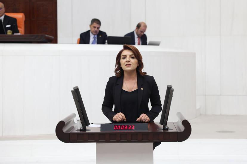 DEVLET GARANTİLİ GEÇİŞLERİN ÖDEMELERİNDE BÜYÜK SIR