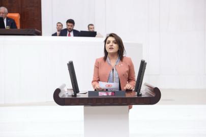 ÖNCE İHRACAT YASAĞI, ŞİMDİ İTHALAT:    AKP MERSİNLİ ÜRETİCİNİN EMEĞİNE LİMON SIKIYOR