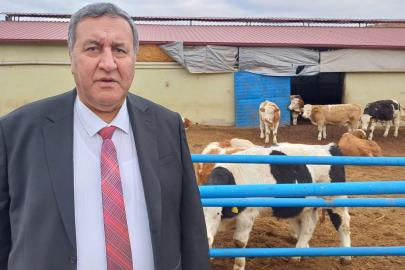 Gürer: “Bombalar et, süt ve gıdayı da vuruyor”     Gürer: “Savaşın etkisi yoksulluğu artıracak”