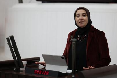 DEVA Partili Elif Esen’den soru önergesi: “Dijitale ilişkin kanunda Avrupa Konsey tavsiyelerine uyum artmalı”