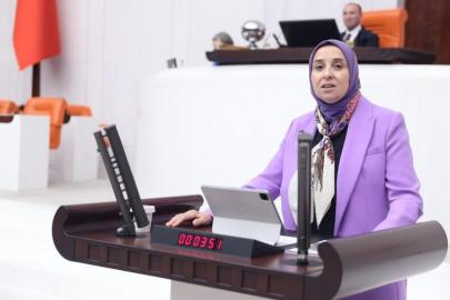 DEVA Partili Esen’den “Milyonlarca çocuk risk altında” çıkışı: “Kurşun kimyasalı kalıcı iz bırakıyor!”