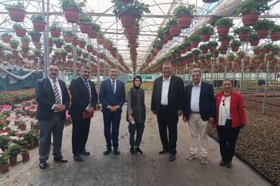ANNELER GÜNÜ ÇİÇEKÇİLERE DE YARADI     ANNELER GÜNÜ ÖNCESİ ÇİÇEK SERALARINDA YOĞUN MESAİ