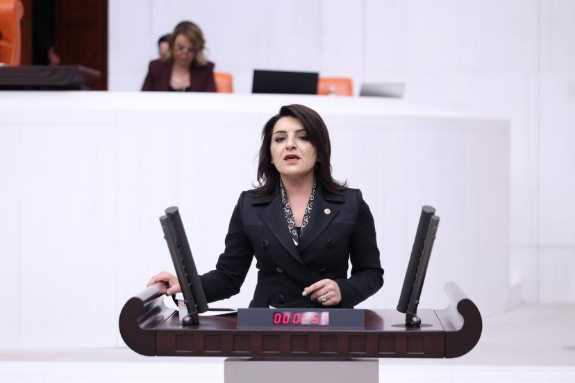 CHP’Lİ GÜLCAN KIŞ: “TÜRKİYE’NİN GENÇLİĞİ GELECEĞİNİ BAŞKA ÜLKELERDE ARIYOR”
