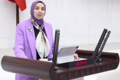 DEVA Partili Esen: "Türkiye’de bir Ulusal Çocuk Ajansı altında oluşacak Ulusal Çocuk İzlem ve Okul Sosyal Hizmeti sistemine acil geçiş yapmalı"