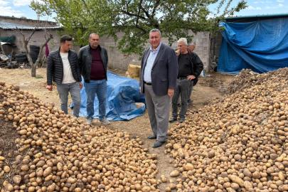 Gürer: “Binlerce ton patates hayvan yemi oldu”     Gürer: “Patates, üreticinin yine yüzünü güldürmedi”