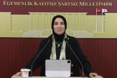 DEVA Partili Elif Esen: "’Hadi gel köyümüze geri dönelim' sözü gerçek bir devlet politikası haline gelmelidir"