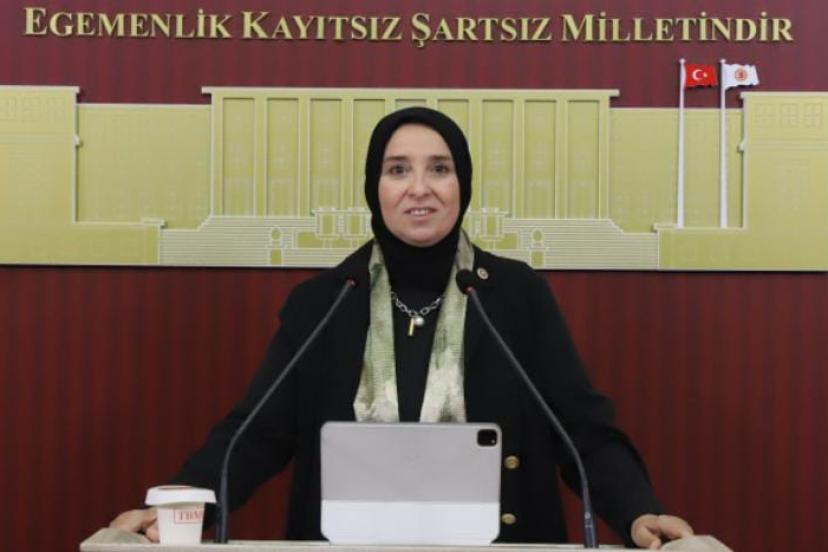 DEVA Partili Elif Esen: "’Hadi gel köyümüze geri dönelim' sözü gerçek bir devlet politikası haline gelmelidir"