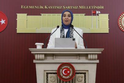 DEVA Partili Elif Esen: "Toprağı yaşatmadan nüfusu büyütemezsiniz!”