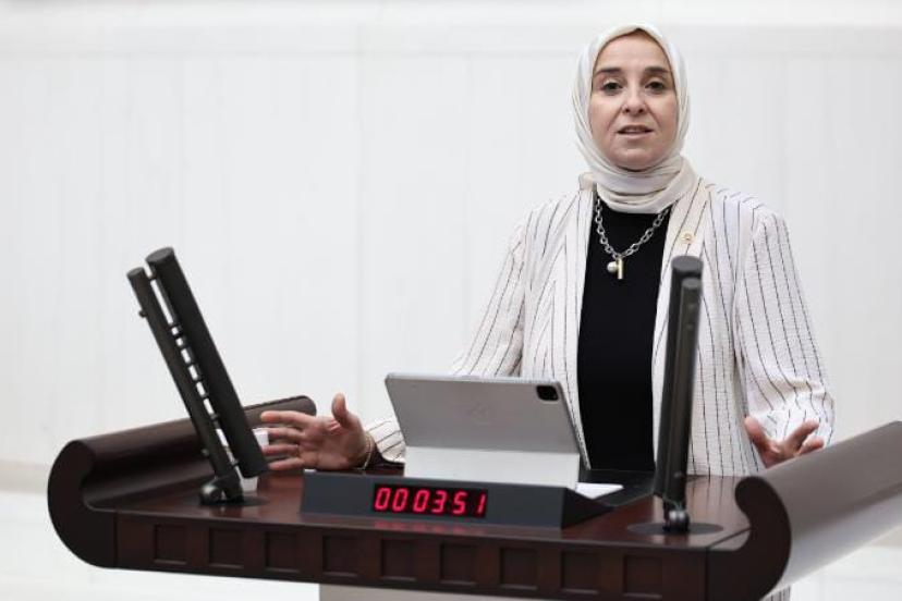 DEVA Partili Elif Esen: Vatandaş neden Kızılay'a değil de Ahbap'a güvendi?