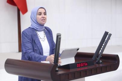 DEVA Partili Elif Esen’den Dünya Nüfus Günü’nde doğurganlık uyarısı: “Türkiye’nin nüfus krizi, aslında bir güven krizidir”