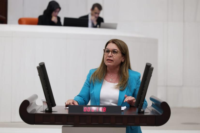 TRUMP'IN “DOSTLUĞU”NUN BEDELİ!  CHP DENİZLİ MİLLETVEKİLİ GÜLİZAR BİÇER KARACA, TBMM’DE TEKSTİL SEKTÖRÜNÜ DEĞERLENDİRDİ