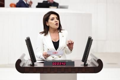 CHP'li Gülcan Kış: “Dünya Ülkeleri Üreticisini Koruyor,   AKP Anamurlu Üreticiyi İthalata Teslim Ediyor”