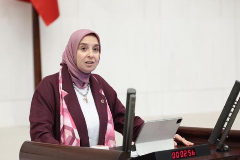 DEVA Partili Elif Esen: “ Hayvana yapılan zulüm yalnızca bugünün değil, yarının da meselesidir”
