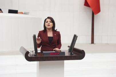 GÜLCAN KIŞ: “TÜRKİYE’DE GEÇİMİN ADI: KREDİ KARTI”