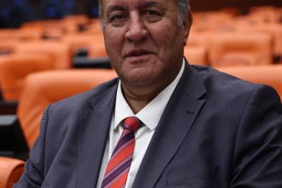 GÜRER: "KEÇİLER ORMANLARA DÖNMELİDİR”     GÜRER: “ORMAN YANGINLARINI ÖNLEMEK İÇİN KEÇİLER UMUT OLABİLİR”