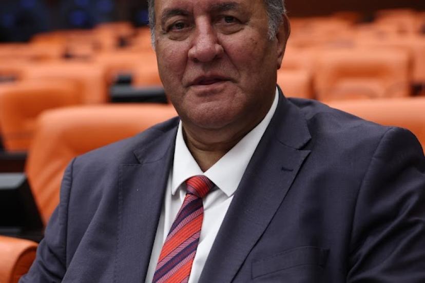 GÜRER: "KEÇİLER ORMANLARA DÖNMELİDİR”     GÜRER: “ORMAN YANGINLARINI ÖNLEMEK İÇİN KEÇİLER UMUT OLABİLİR”