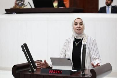 DEVA Partili Elif Esen: “Şiddet mağduru kadın ve müşterek çocukların güvenliği için yeni düzenleme şart!”