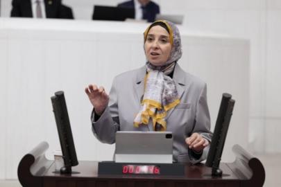 DEVA Partili Esen: Çiftçi ucuza satıyor, vatandaş pahalıya alıyor; bu fyat farkı nerede oluşuyor?