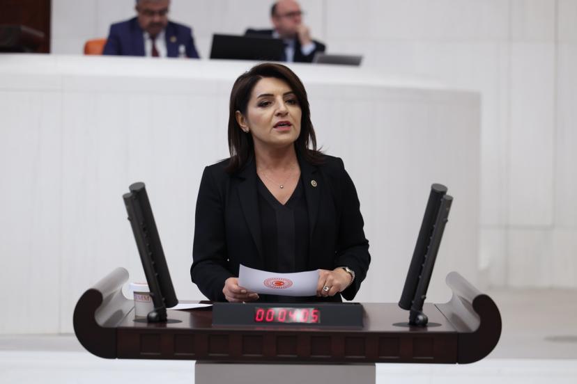 GÜLCAN KIŞ GİRNE–TAŞUCU FACİASININ PEŞİNİ BIRAKMIYOR:  SAHADAN MECLİS’E TAŞIDI