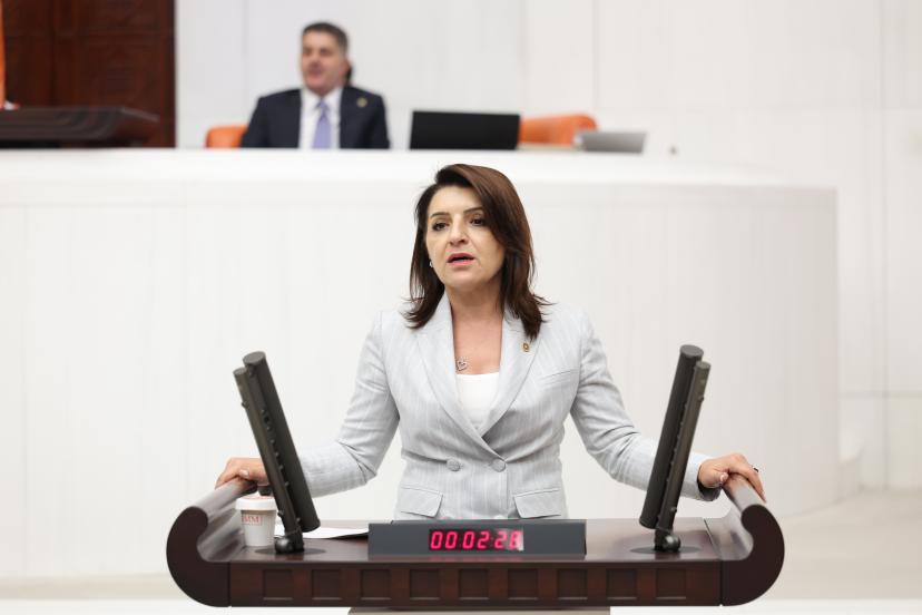 GÜLCAN KIŞ’TAN “OKULA DÖNÜŞ” ALARMI: EYLÜL VELİNİN DERT AYI OLDU
