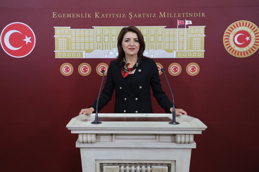 MERSİN’İN NARENCİYESİ İÇİN ZAMAN DARALIYOR: KIŞ’TAN 3 BAKANA 30 SORU
