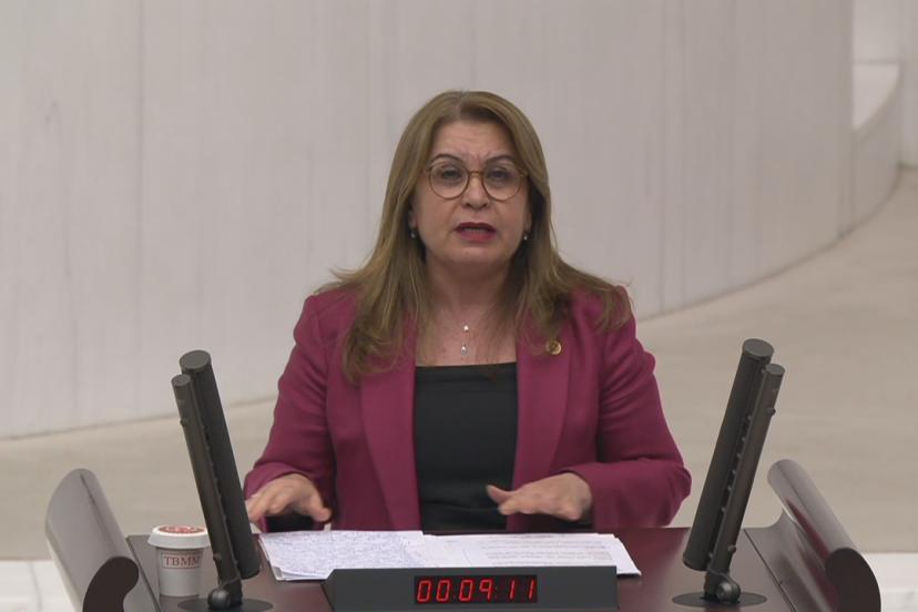 CHP DENİZLİ MİLLETVEKİLİ GÜLİZAR BİÇER KARACA: BANKA SOYGUNUYLA İKTİDARA GELDİNİZ, FON SOYGUNUYLA GİDECEKSİNİZ!